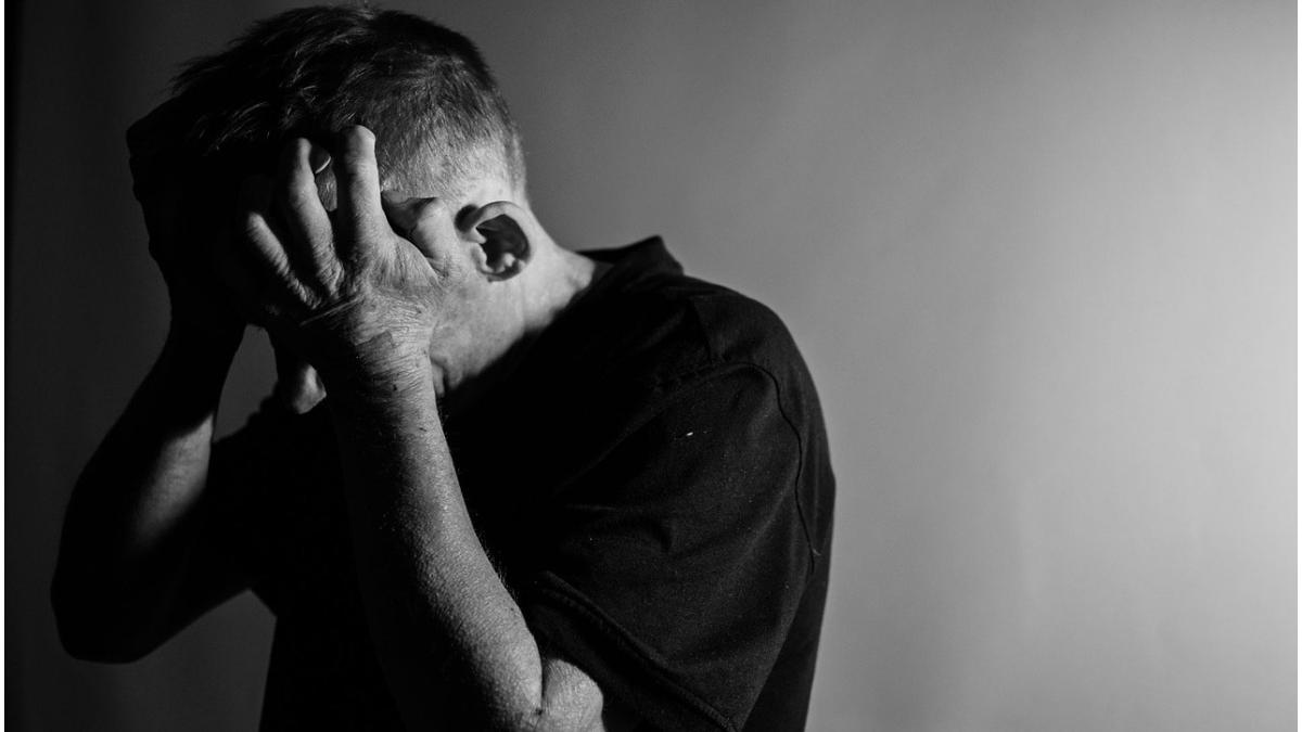 parasit o luna donat rinichi poveste mexican