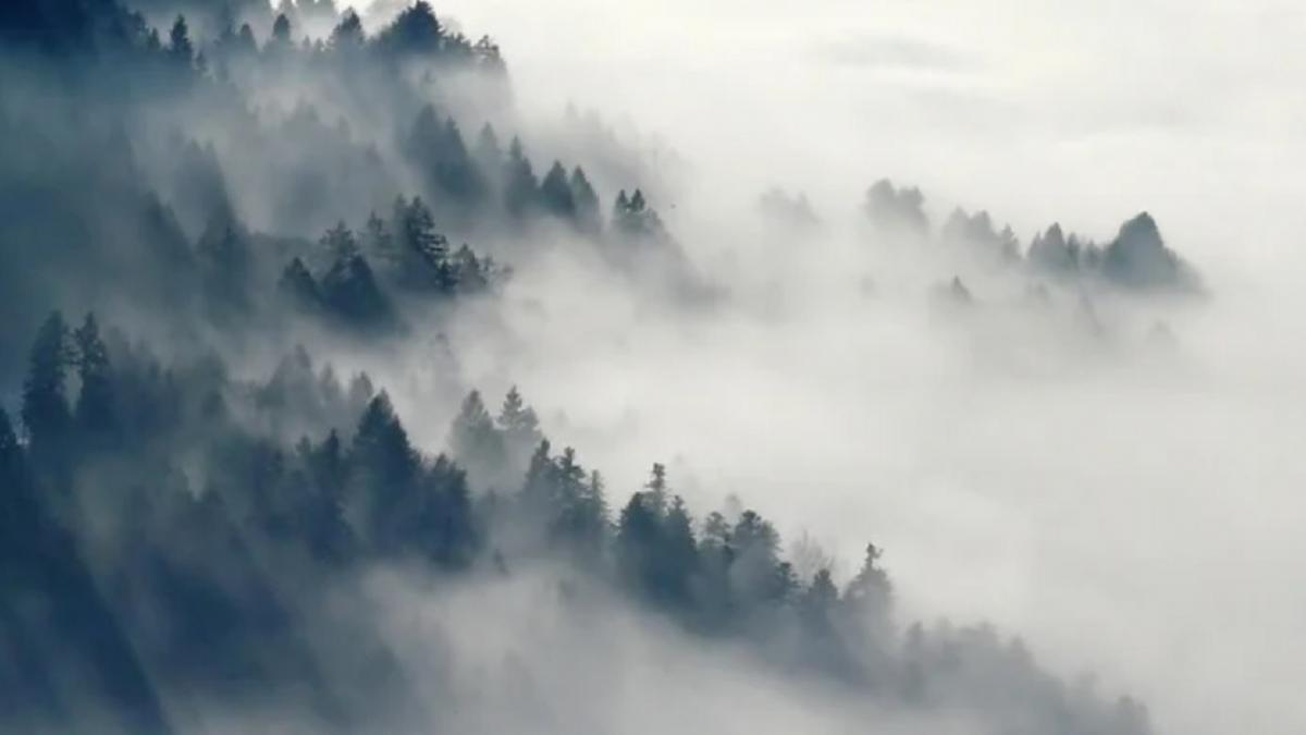 instalatie teleschi vant puternic sinaia