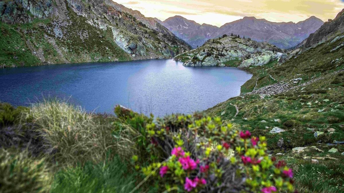 incep inscrierile pentru programul noul bauhaus european 2022