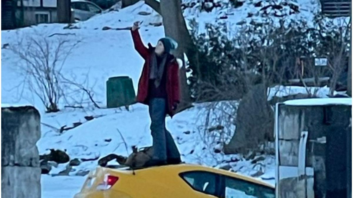 soferita canada selfie masina rau