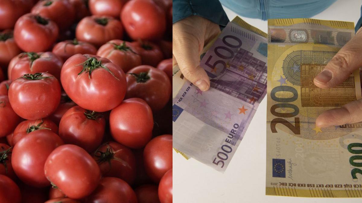 activitati criminale finantate bani cultivare rosii bani transferati romania banci italiene