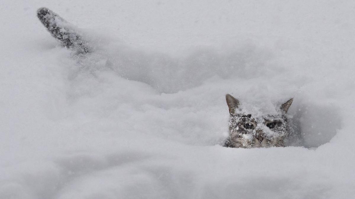 grosimea stratului zapada romania 19 ianuarie 2022