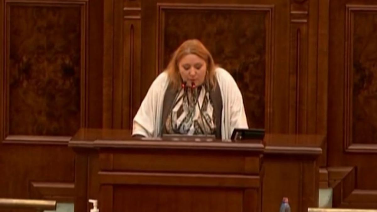 diana sosoaca anchetata usa senat