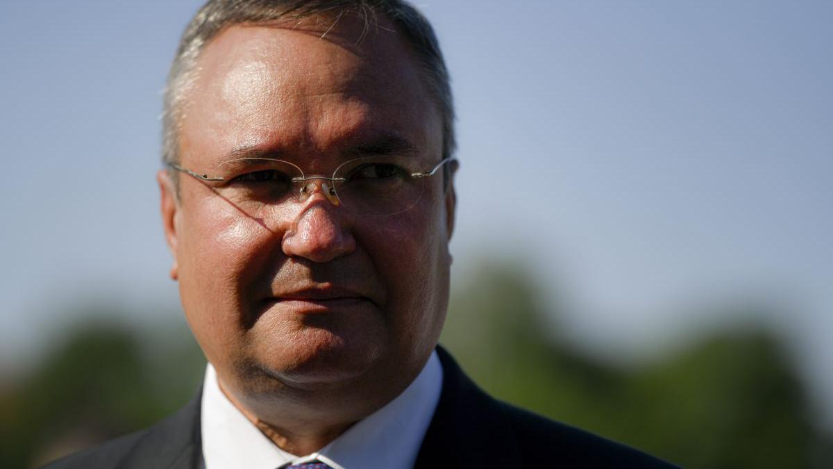 institutie abilitata ofere verdict plagiat sesizata teza doctorat premier nicolae ciuca pierde