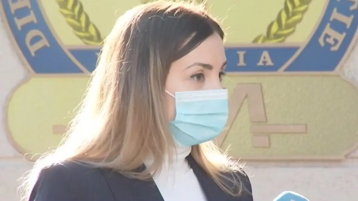 irina tanase logodnica liviu dragnea denunt dna