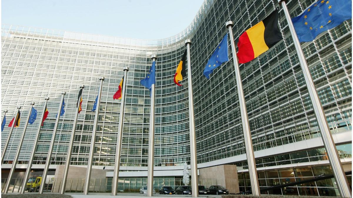 uniunea europeana consultari rusia organiazatia monidala a comertului omc exporturi lemn