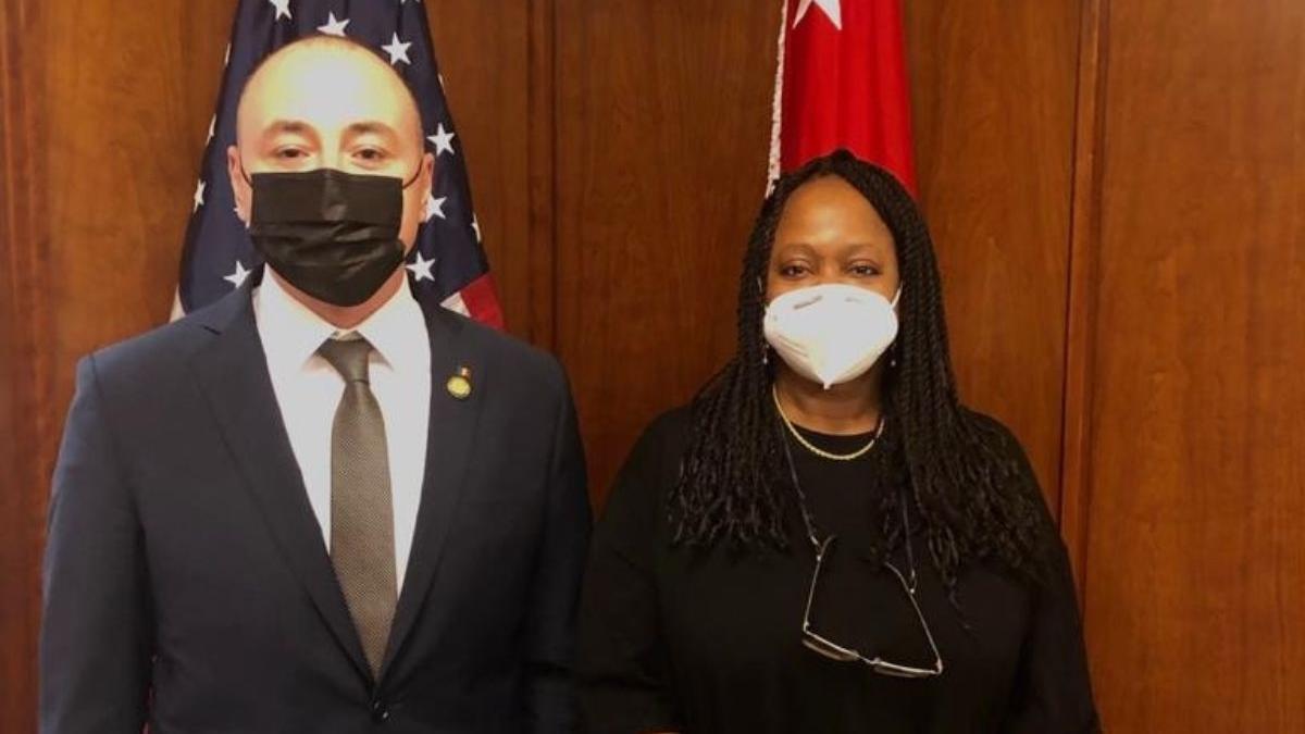 andrei muraru ambasador romania sua intalnire baza militara deveselu