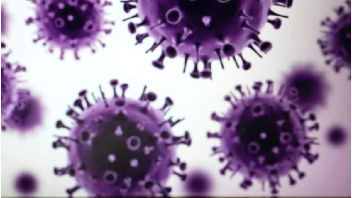 evolutia radicala omicron