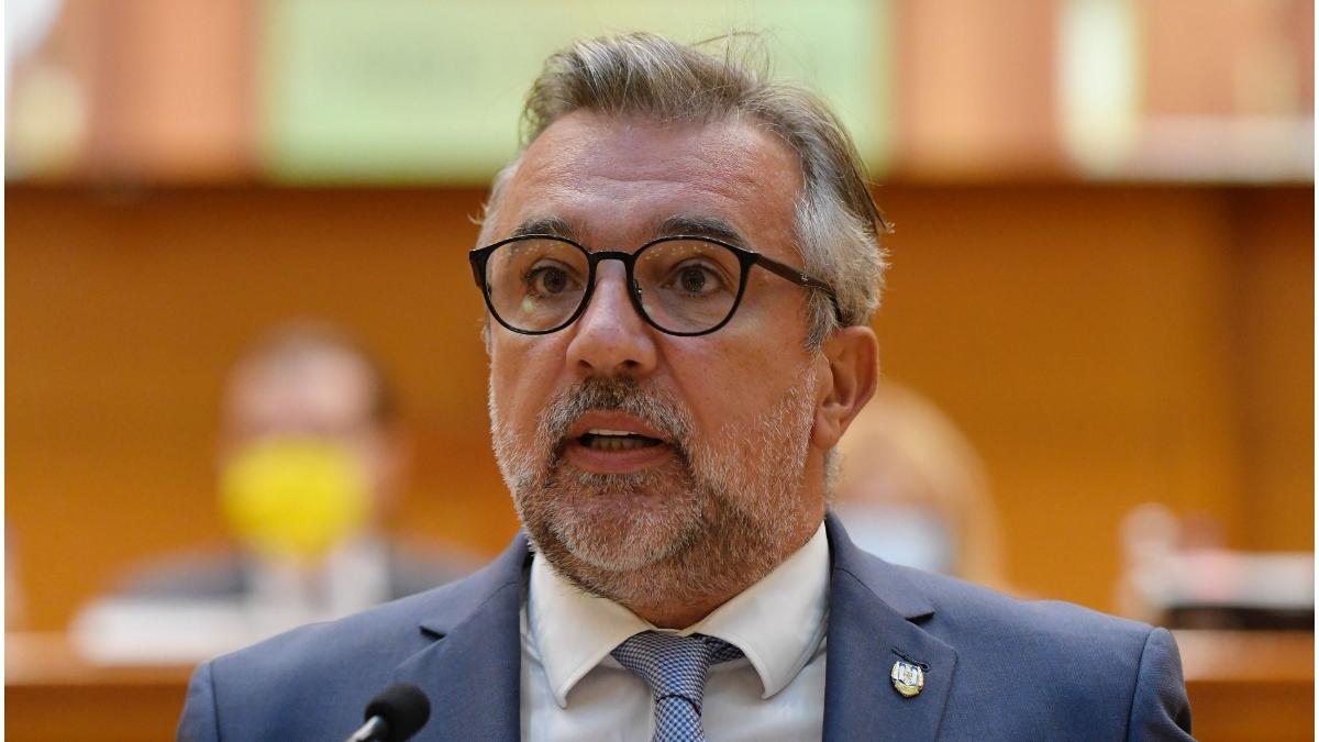 mesaj ministrul culturii lucian romascanu mica unire