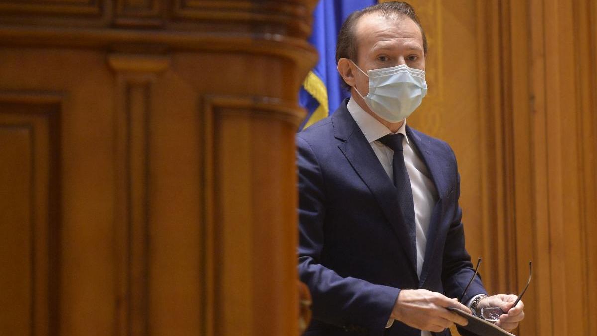 citu sef senat ccr respins sesizare anca dragu