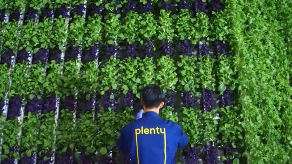 fermele verticale sunt fermele viitorului ce spun specialistii din domeniul agriculturii