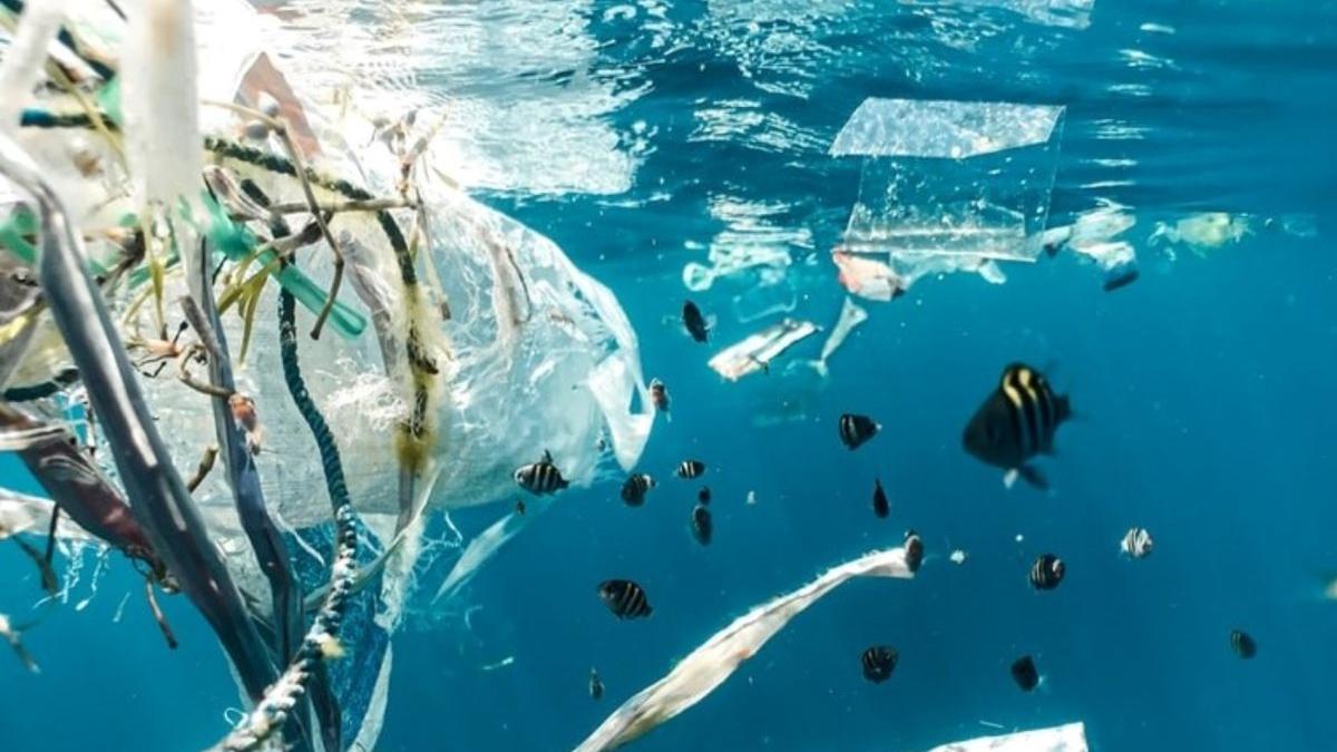 ce alternative putem folosi la pungile din plastic