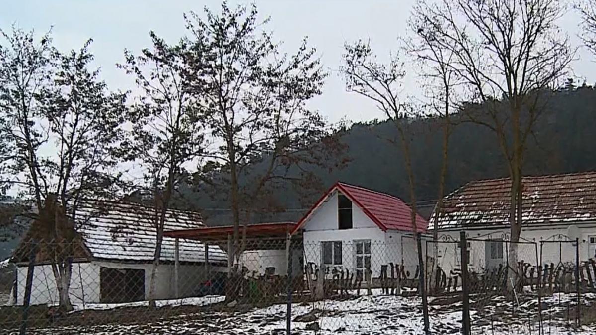 tineri din centrele de plasament exploatati pana la epuizare