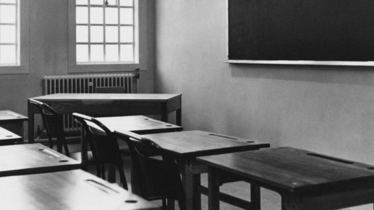 profesoara bacau batut eleva