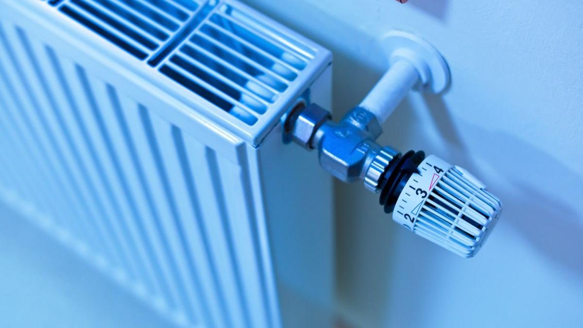 demisie dominic fritz timisoara