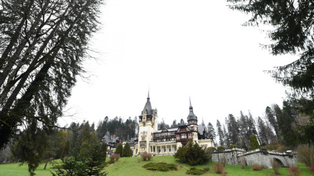 o ursoaica si puiul ei au vizitat castelul peles din sinaia ro alert