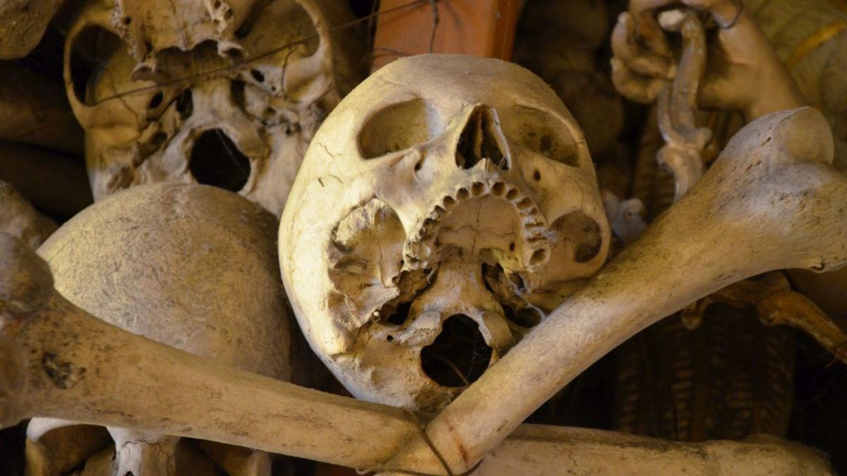 romanca italia copil luca cranii schelete