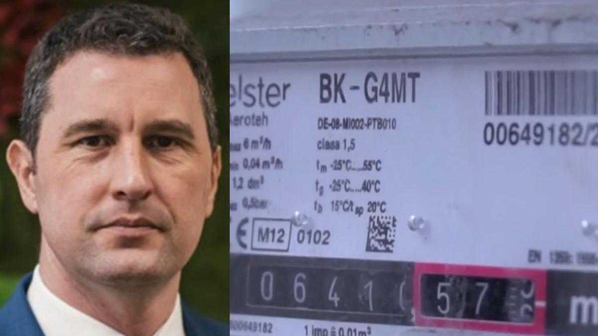 centrale gaz ministrul mediului tanzcos barna