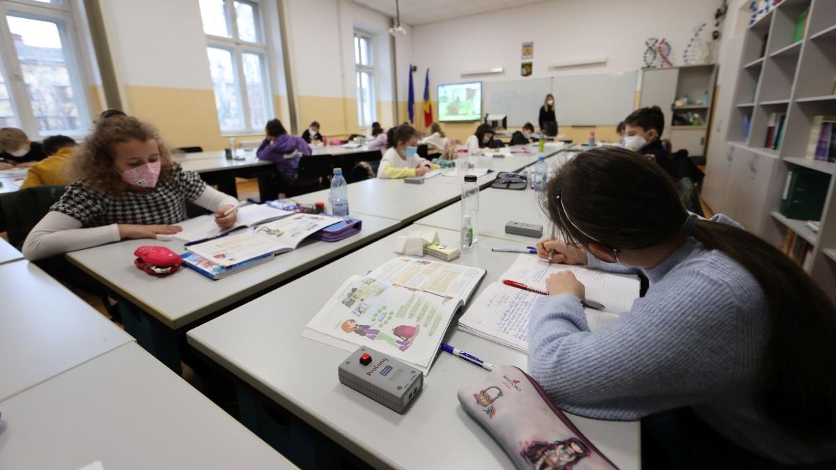 cerere bursa scolara elevi burse sociale