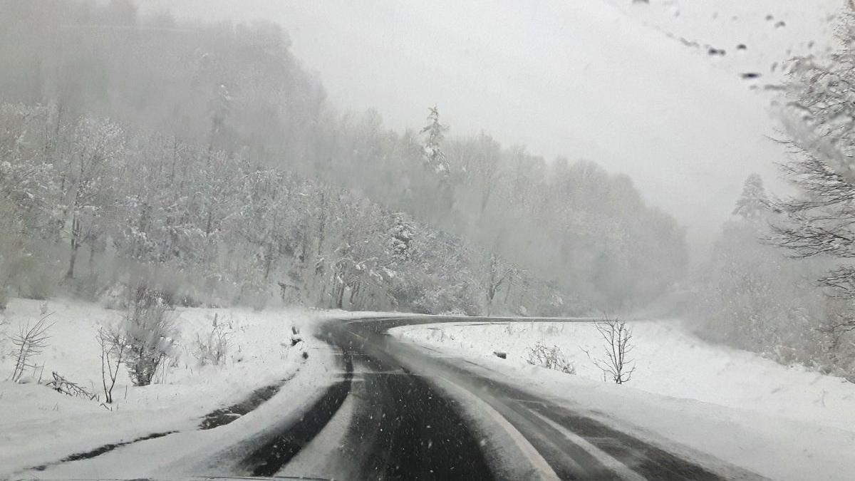 cod galben vant viscol vizate zone montane