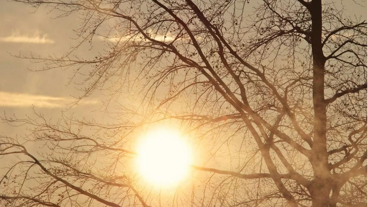 prognoza meteo 31 ianuarie 13 februarie 2022 vreme mai calda normal