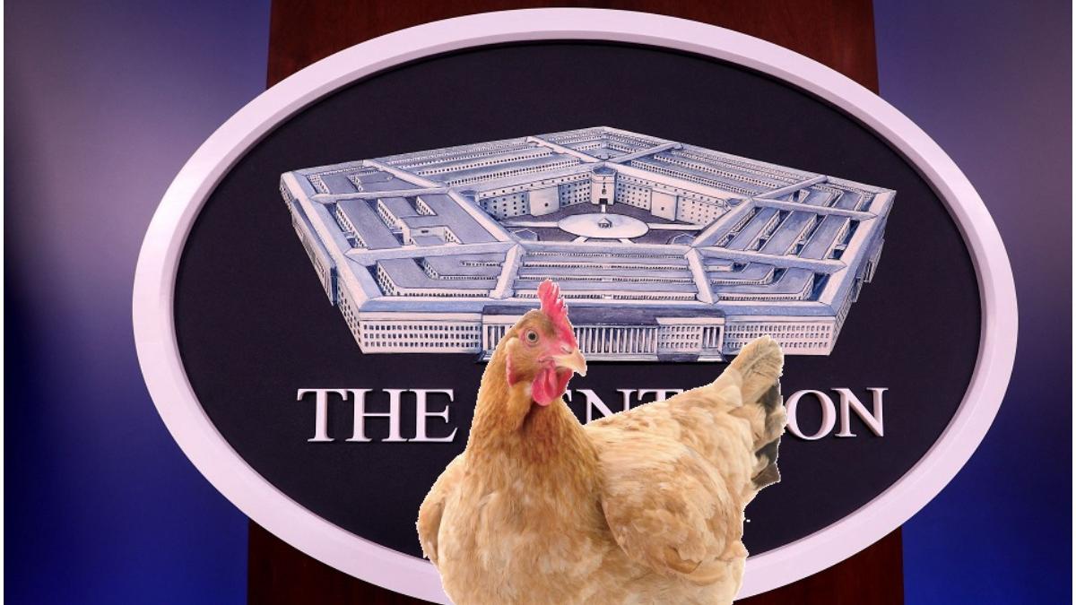 gaina prinsa se strecoara pentagon