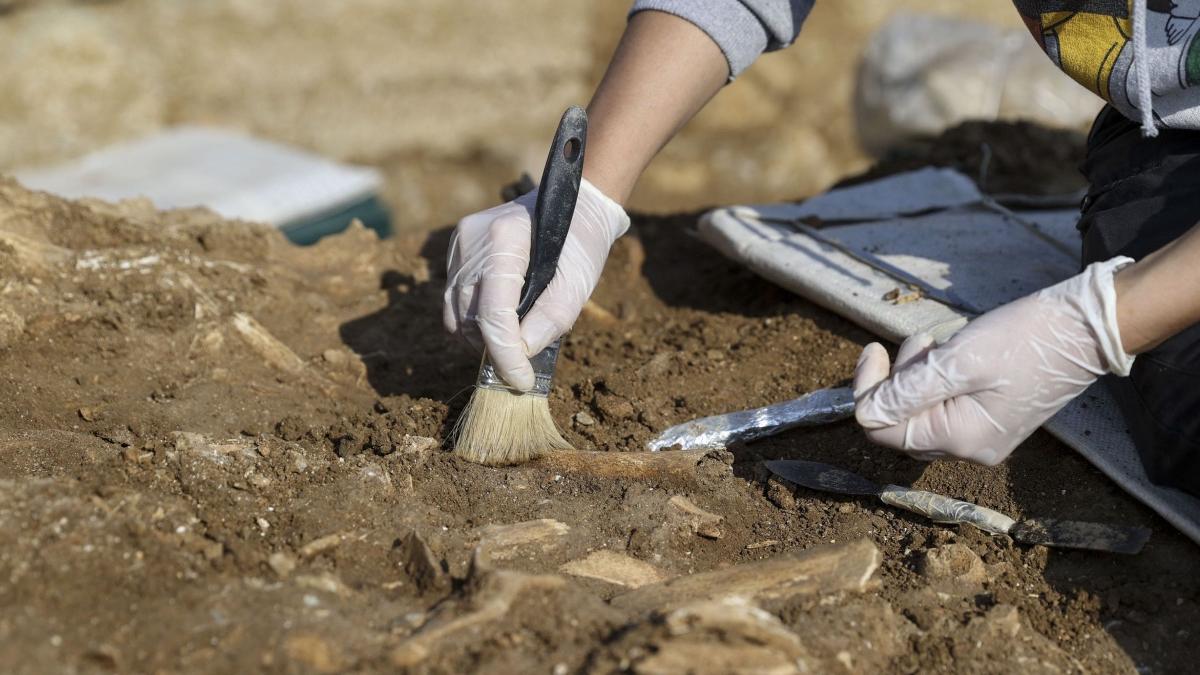 zidul vechii cetati tomis descoperit lucrari teatrul de stat constanta