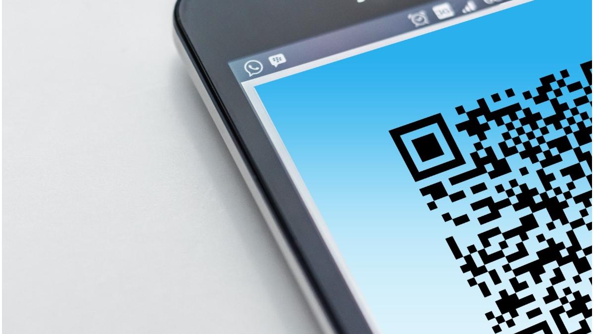 roman condamnat verona permis verde fals