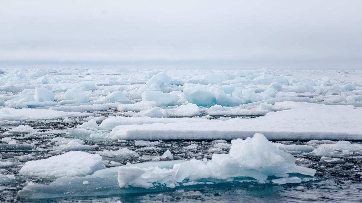 microbi se hranesc cu motorina descoperiti antarctica ajuta combaterea poluarii plastic