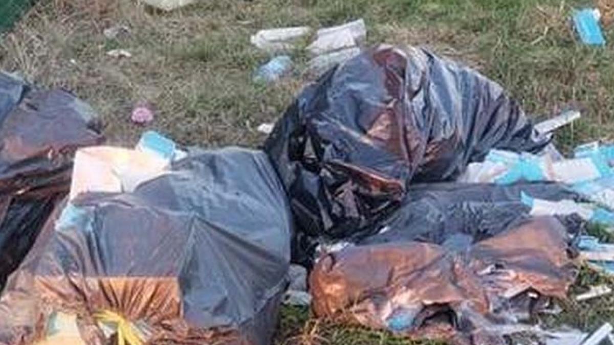 brasovean aruncat deseuri pe camp