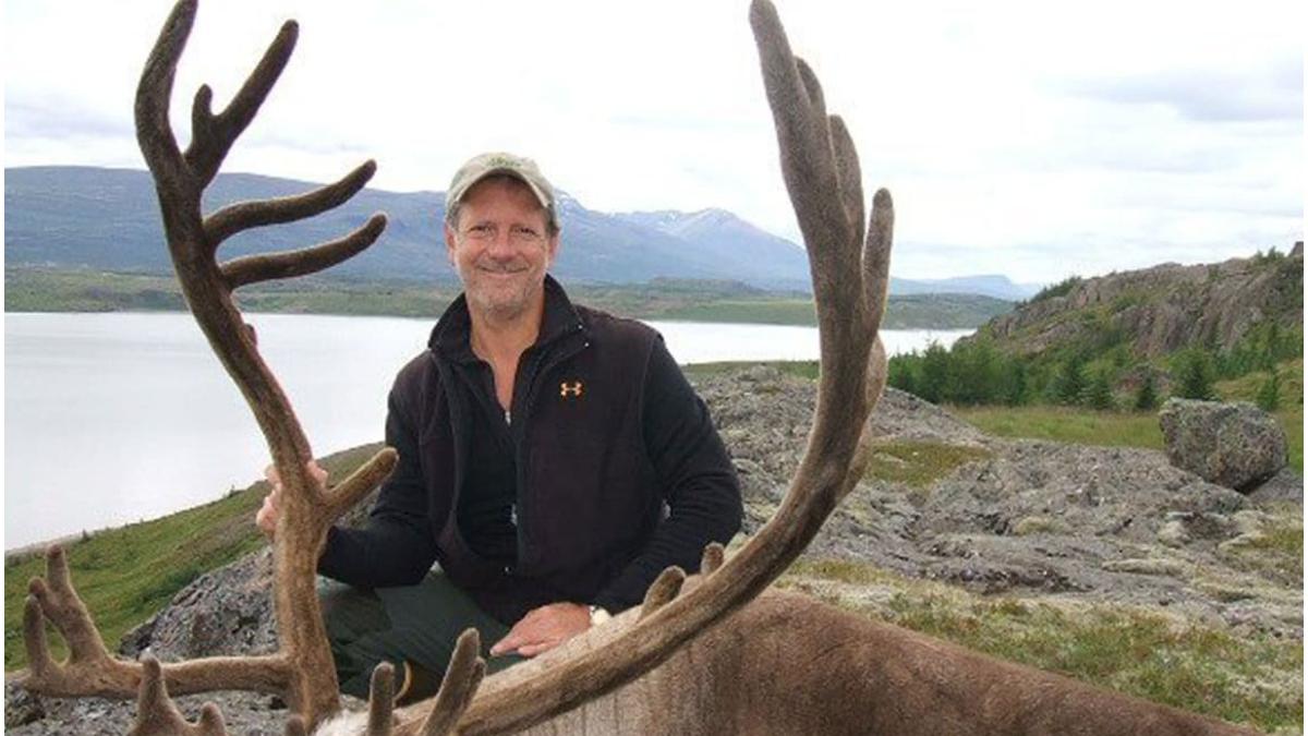 dentist milionar sotie safari asigurare