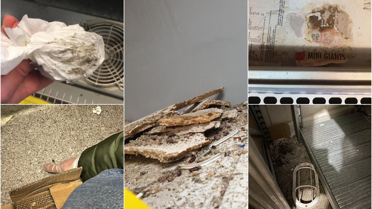 gandaci produse expirate si mizerie doua supermarketuri din bucuresti au fost inchise