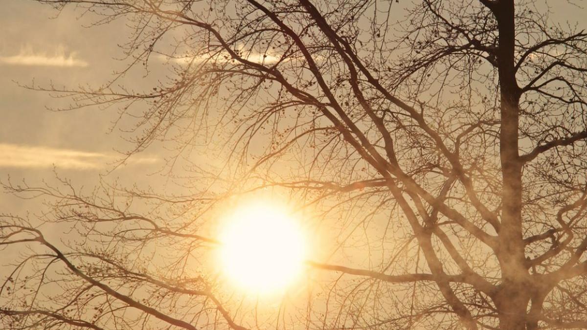 prognoza meteo 8 10 februarie 2022 vreme calda