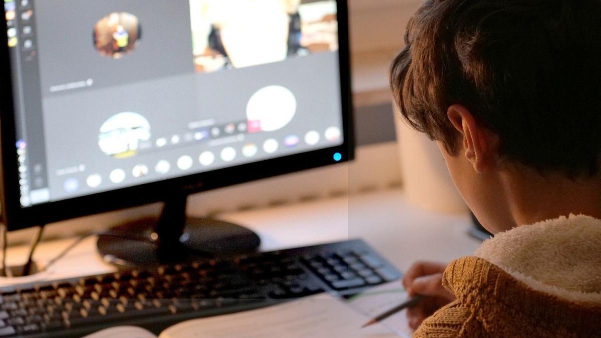 elevi din timisoara scoala online frig clase