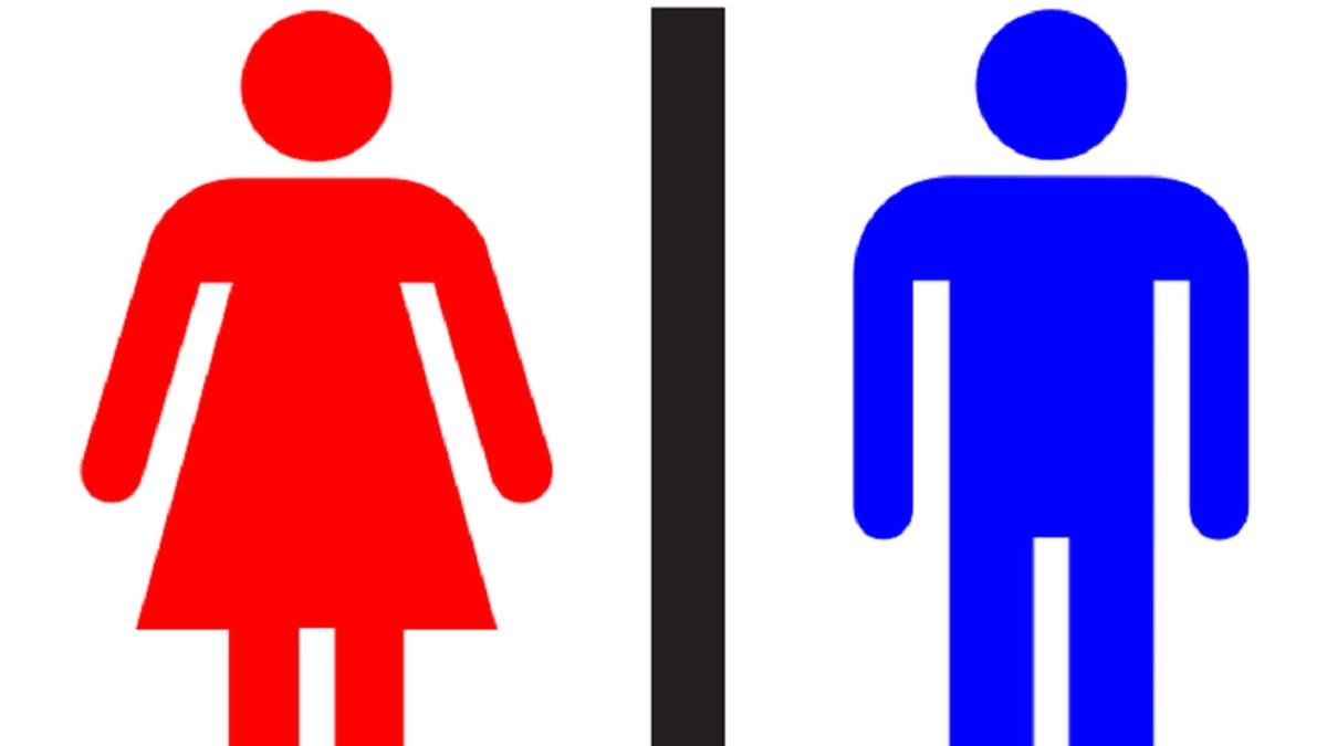 parlamentar pnl deputat pavel popescu toaleta