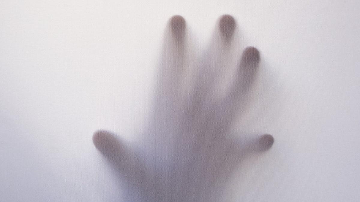 fantoma bertestii de jos braila