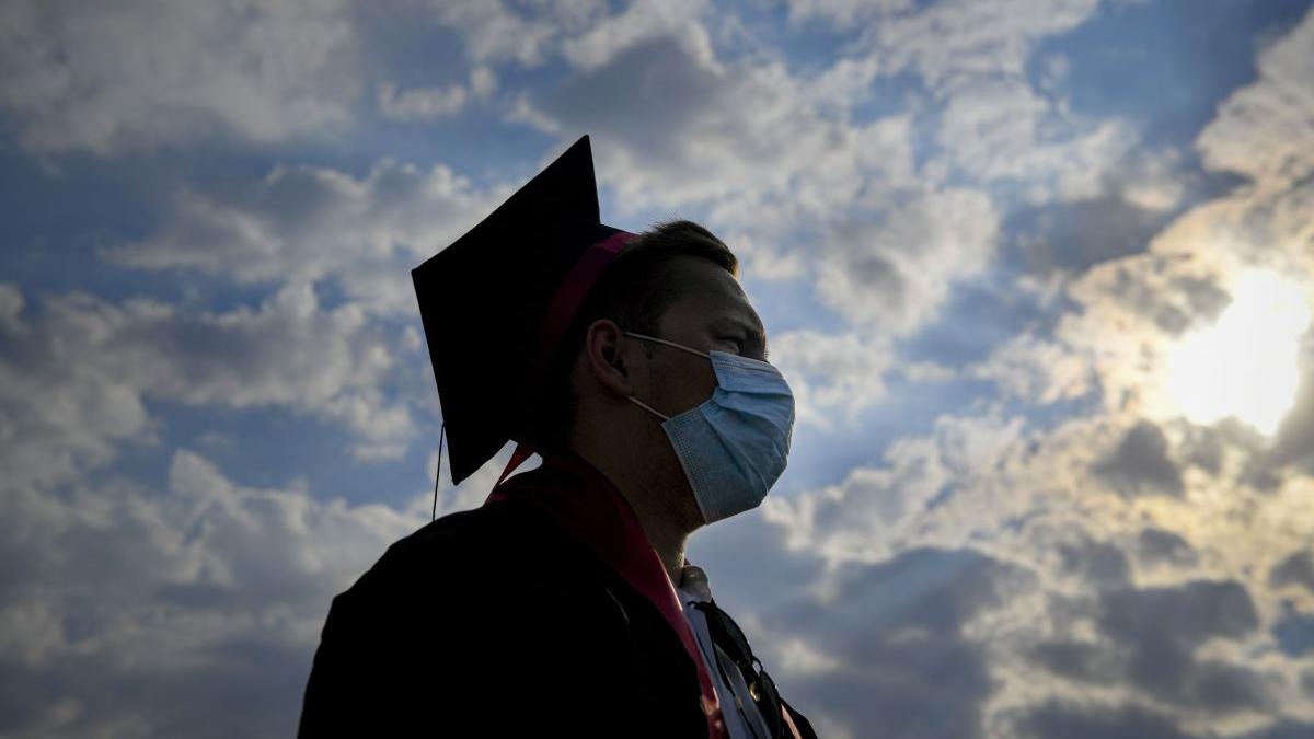 frauda lucrari licenta dizertatie vandute internet