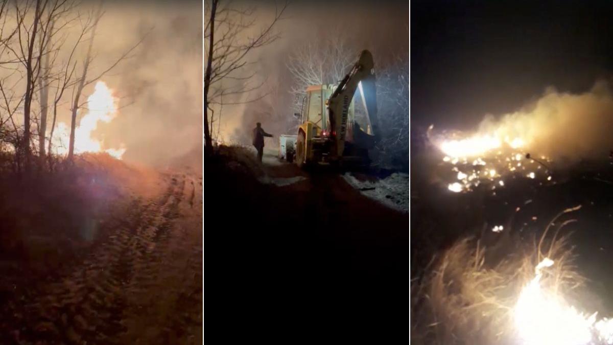 incendii vegetatie dolj