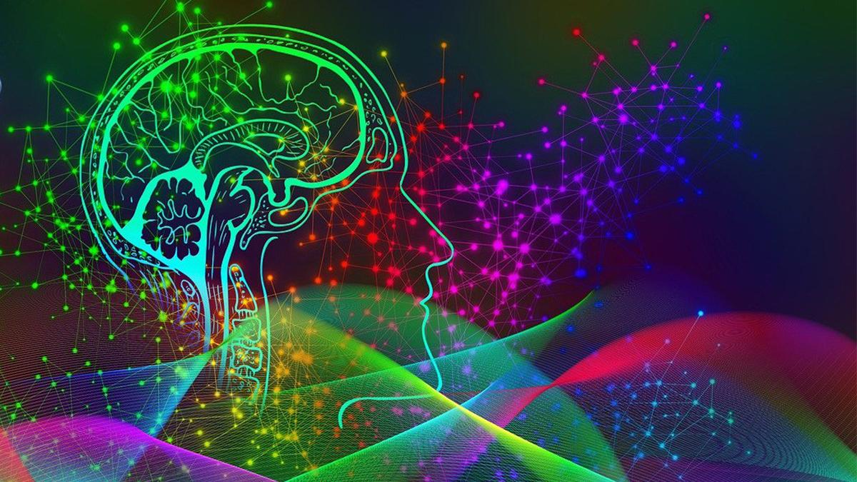 prof dr alexandru vlad ciurea neurochirugie misterele creierului mustrari constiinta