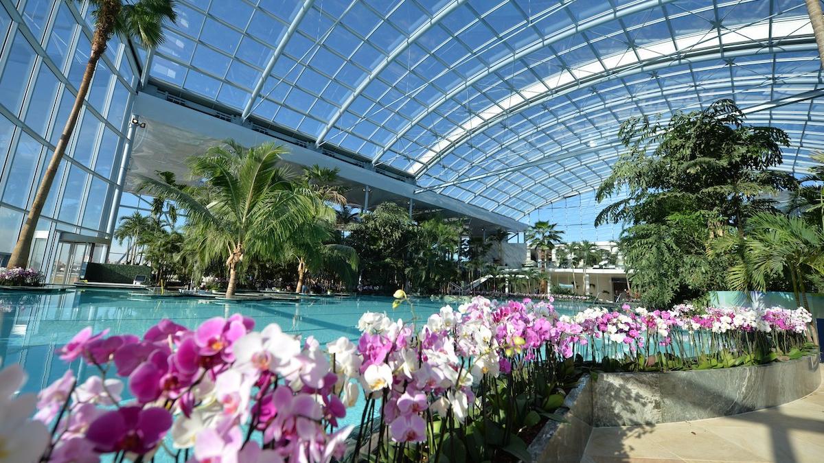 cauza mortii inecat baiat 17 ani centru termal recreere balotesti