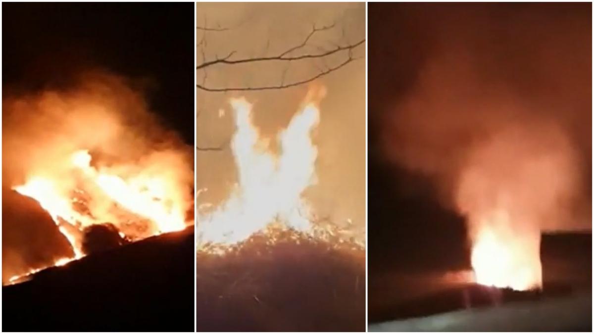 flacari uriase incendii de vegetatie uscata dolj dambovita si buzau