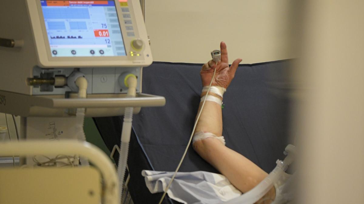 incidenta covid 19 bucuresti aproape 40 la mie