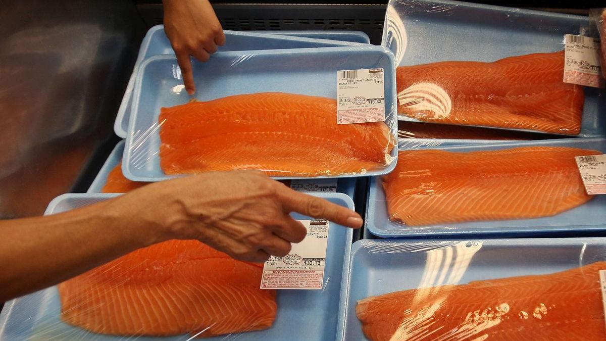 alerta ansvsa somon afumat bicorner restras magazine