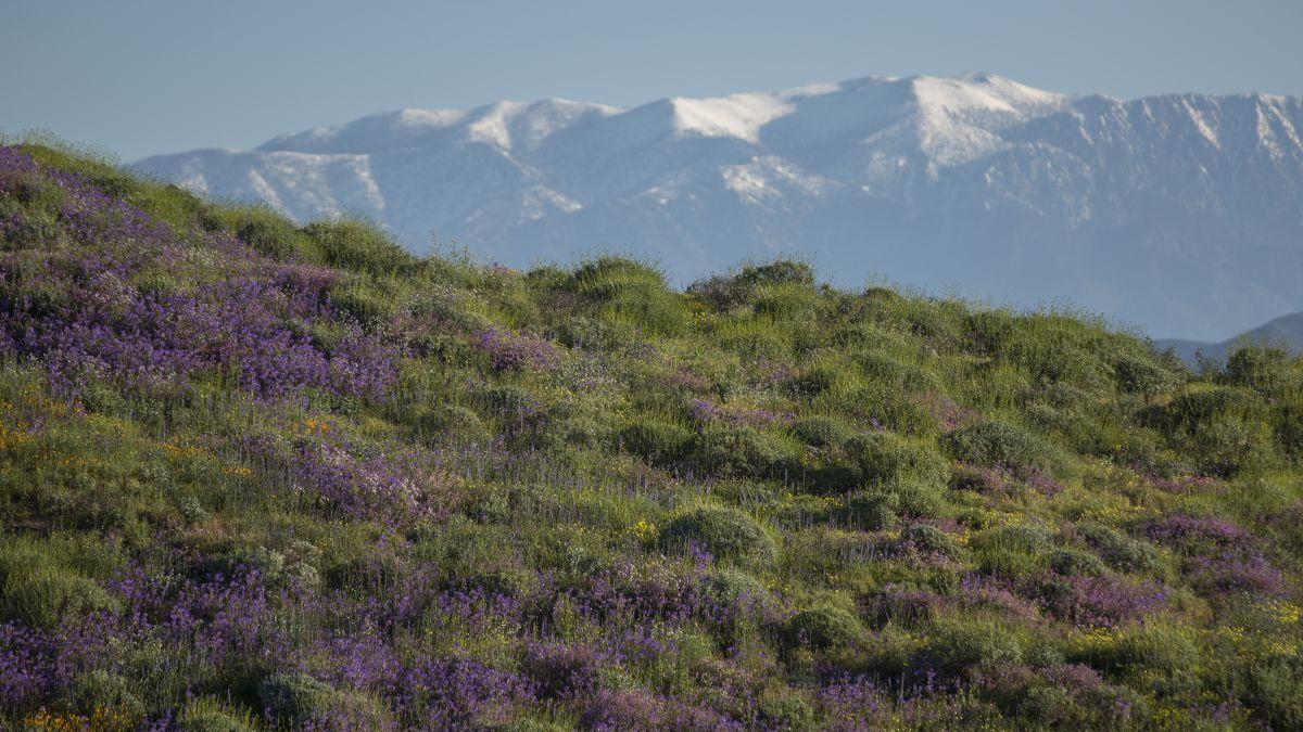 prognoza meteo 14 februarie 14 martie 2022 vremea