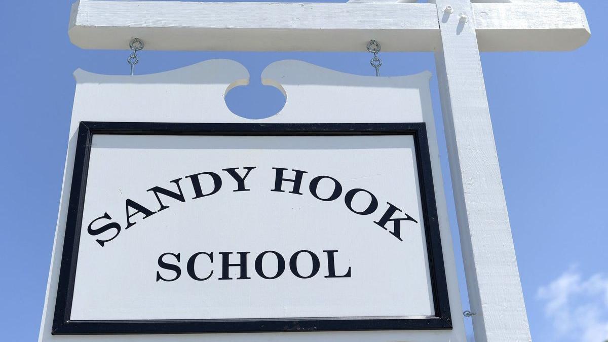 remington sandy hook despagubire adam lanza
