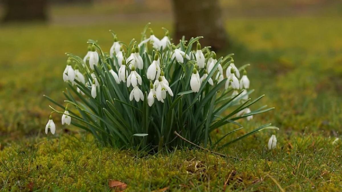 vremea bucuresti prognoza meteo temperaturi