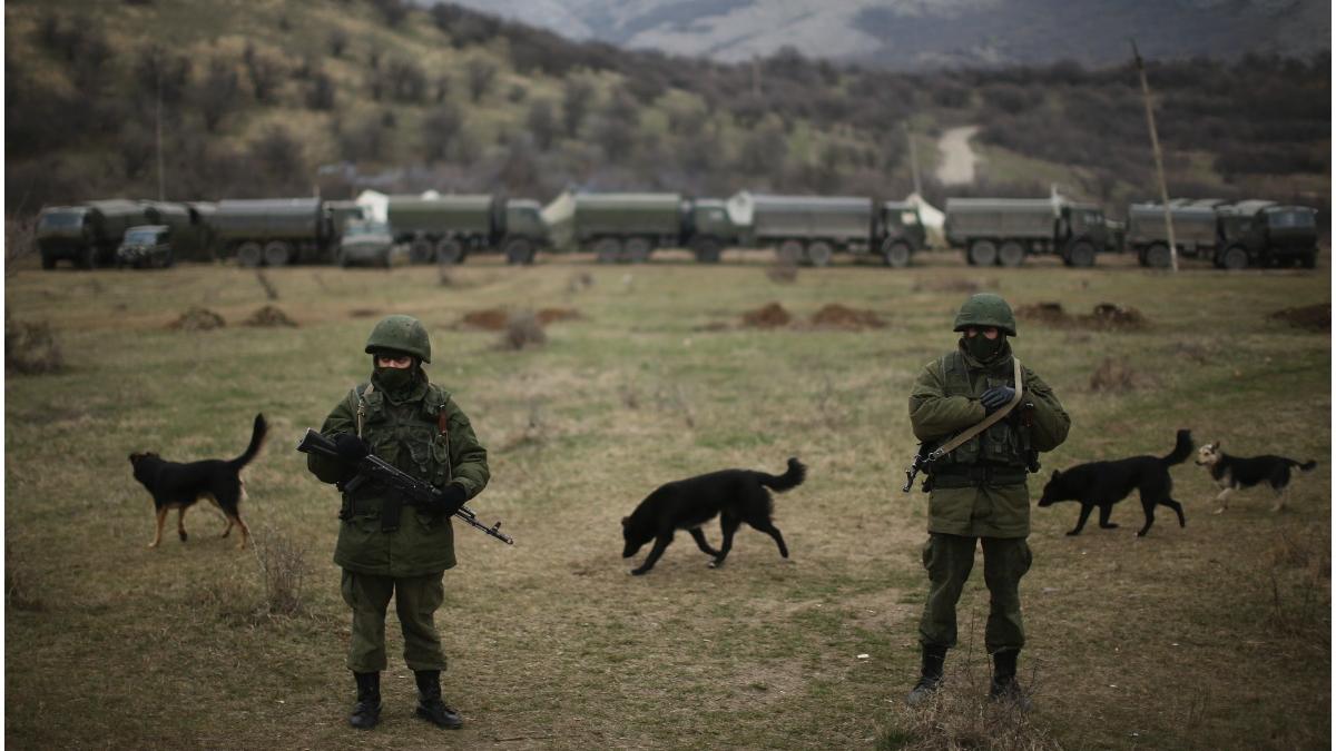 rusia invadare ucraina 20 februarie precizari michael coffman analist militar