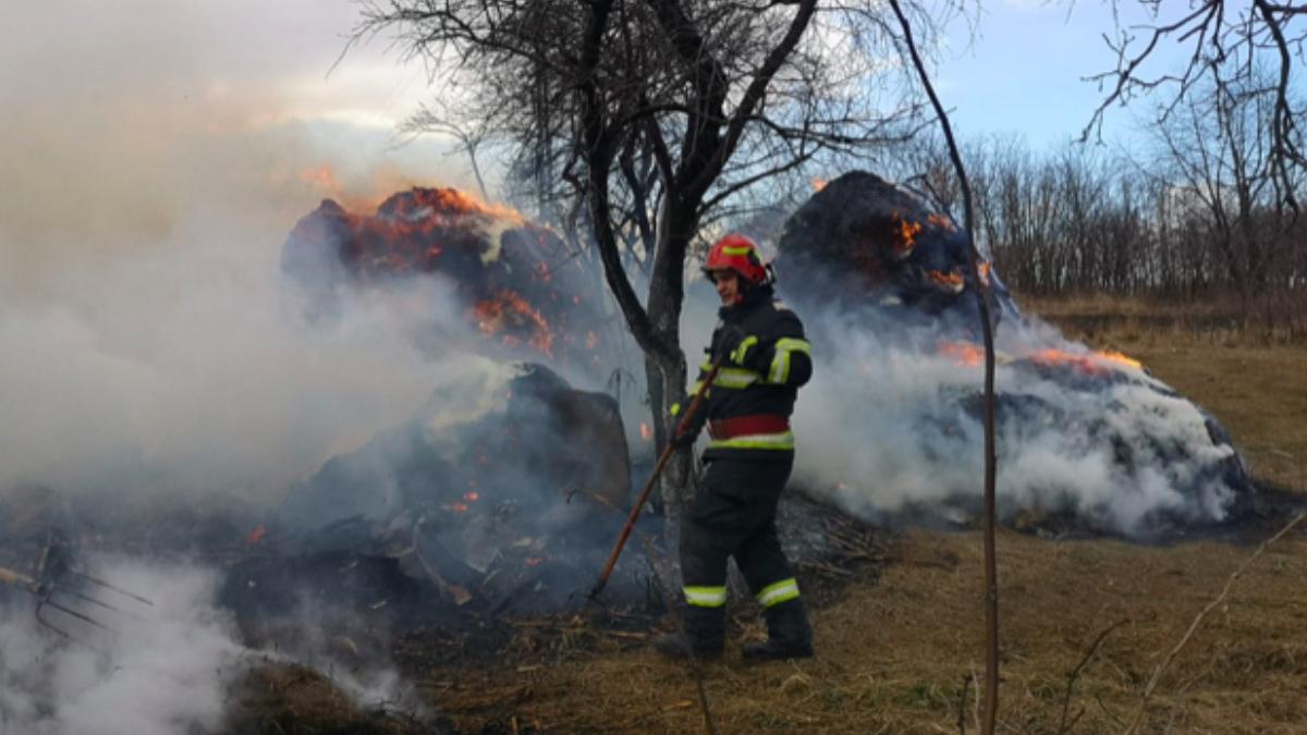 incendiu adapost animale botosani foc pus intentionat