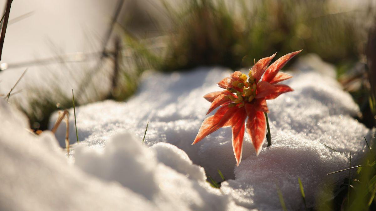 prognoza meteo 21 februarie 21 martie 2022 vremea