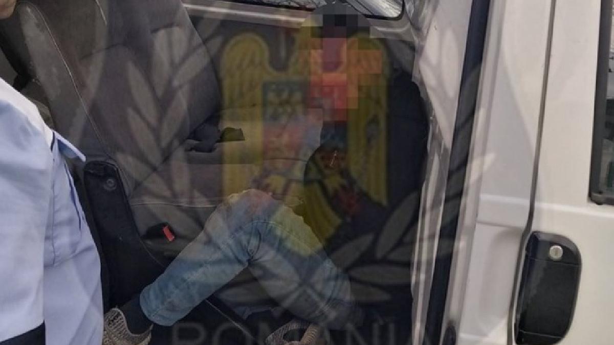 vatman lovit si muscat de un om al strazii din arad